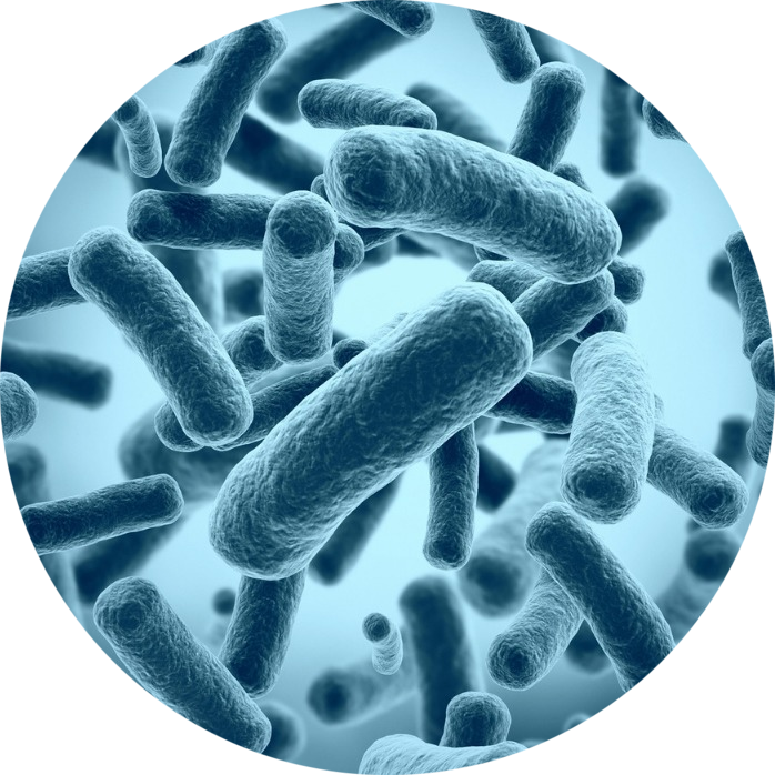 Микробы и бактерии при поте ног